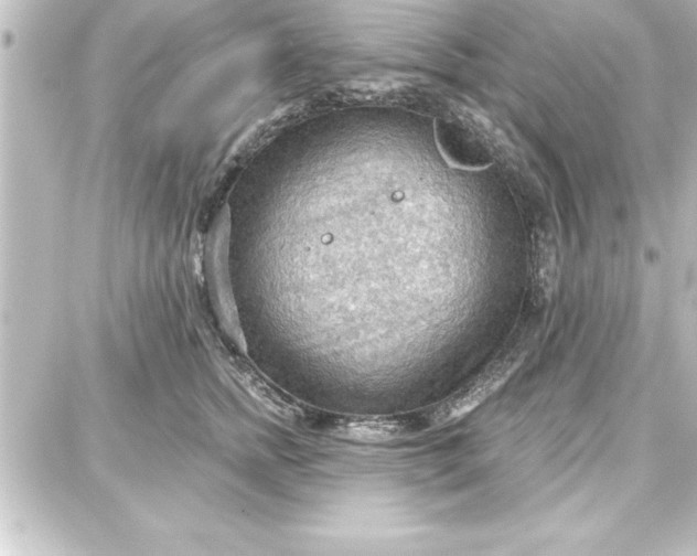 X0000087740758200705211012