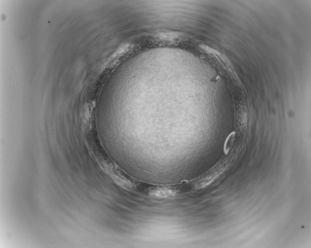 X0000087740759200705211012