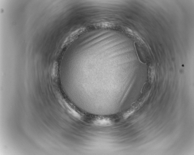 X0000087740760200705211012