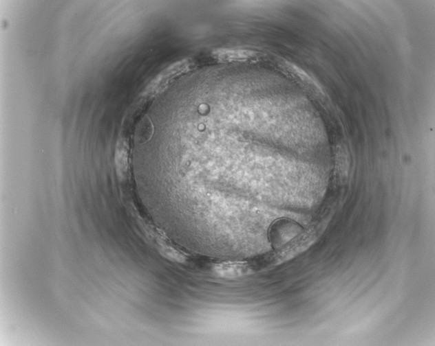 X0000087740761200705211012