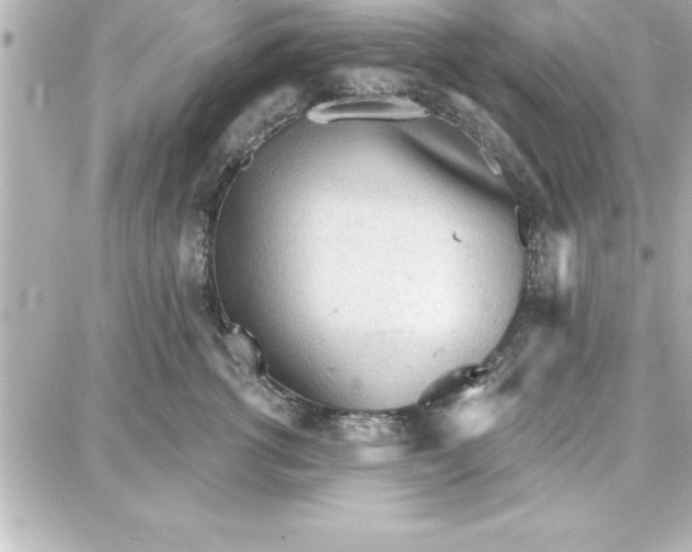 X0000087740762200705211012