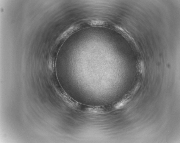 X0000087740763200705211012