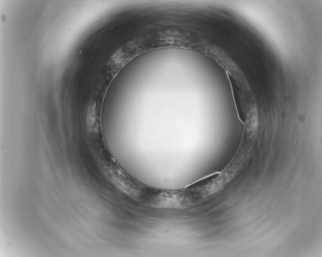 X0000087740764200705211012