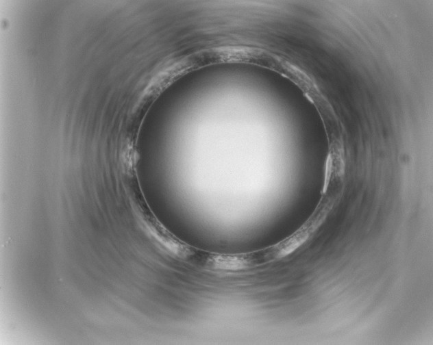 X0000087740766200705211012