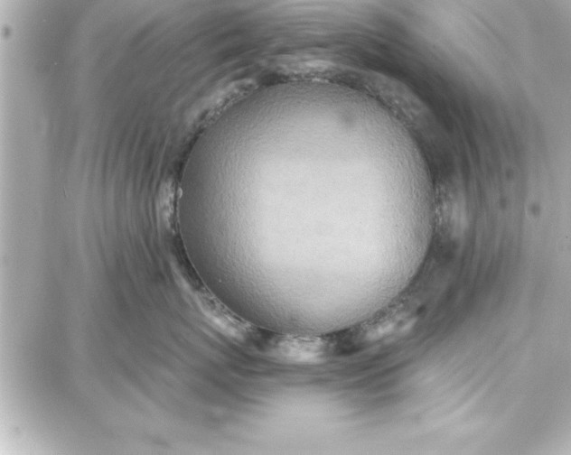 X0000087740767200705211012