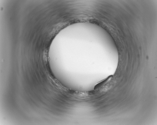 X0000087740768200705211012