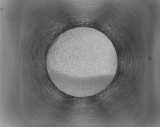 X0000087740769200705211011