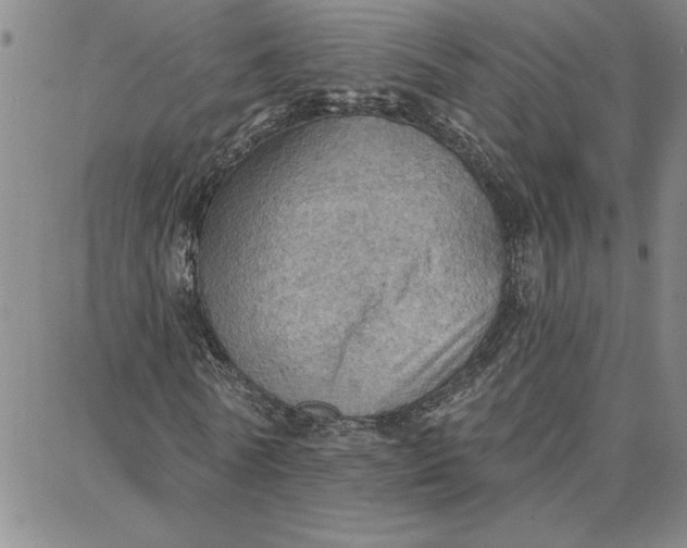 X0000087740770200705211011