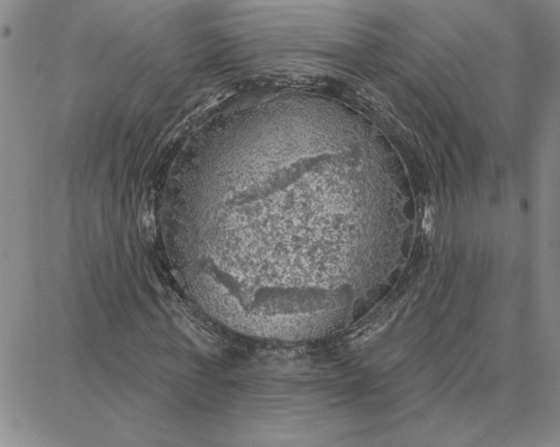 X0000087740771200705211011