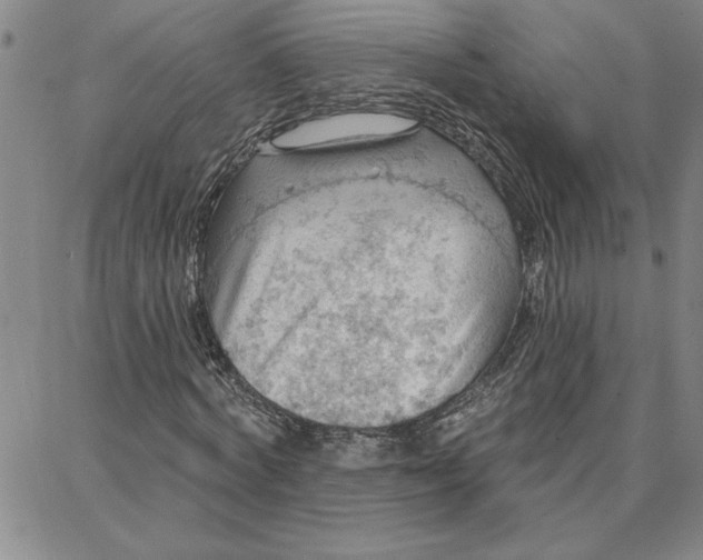 X0000087740772200705211011