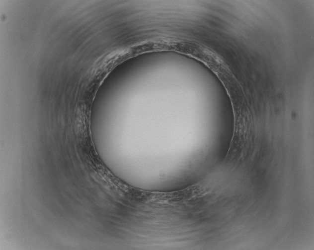 X0000087740773200705211011