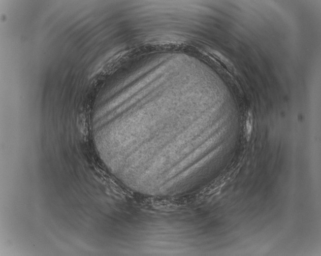 X0000087740774200705211011