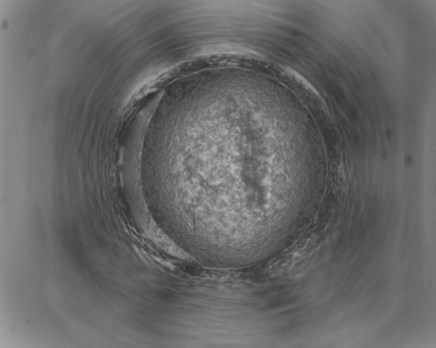 X0000087740775200705211011