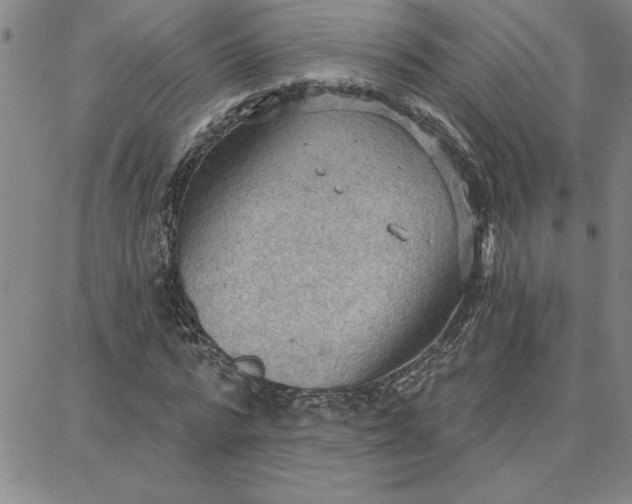 X0000087740776200705211011