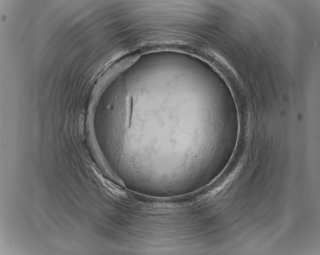 X0000087740777200705211011