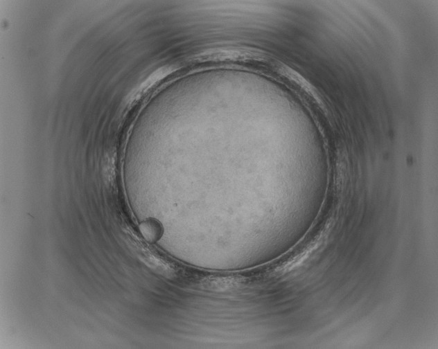 X0000087740778200705211011