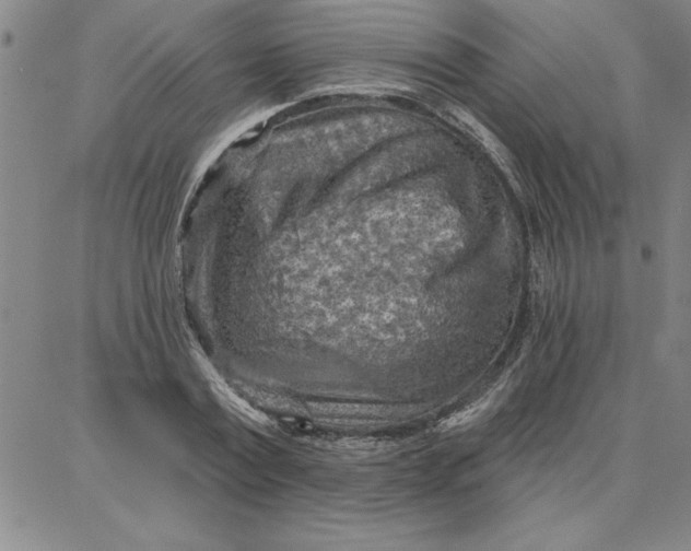 X0000087740779200705211011