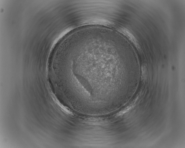 X0000087740780200705211011