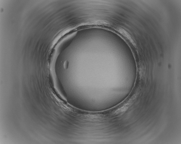 X0000087740781200705211011