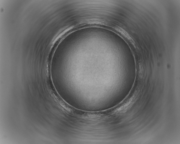 X0000087740782200705211011