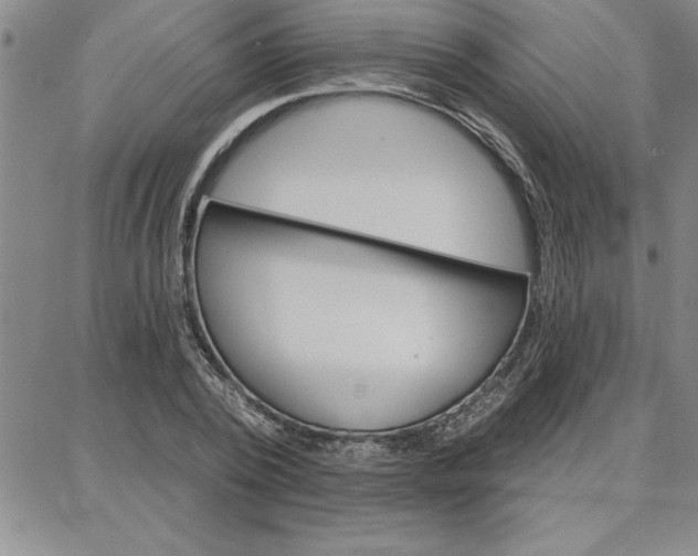 X0000087740784200705211011