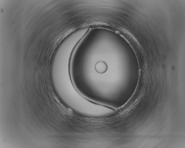 X0000087740785200705211011