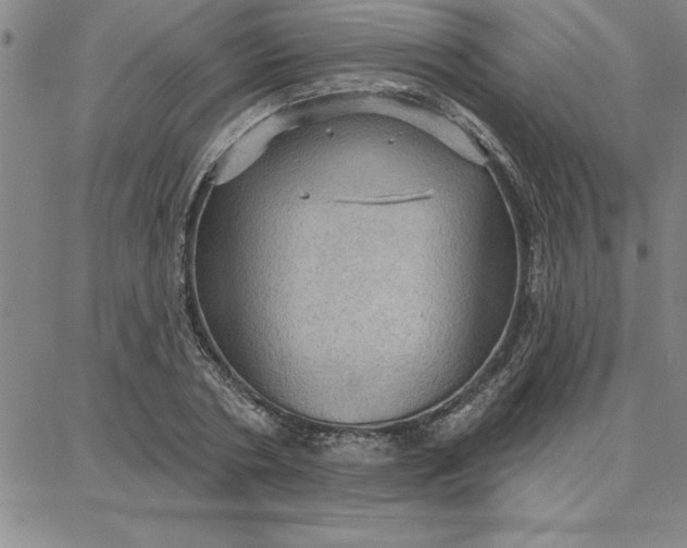 X0000087740786200705211011