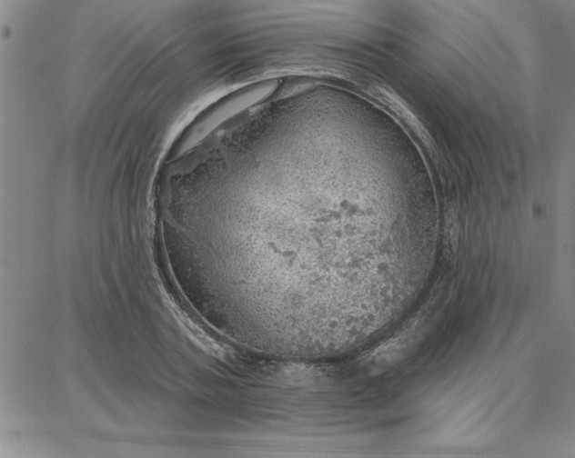 X0000087740787200705211011