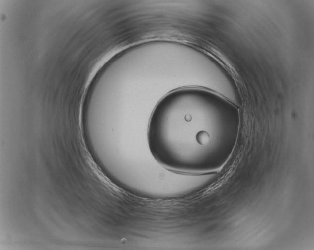 X0000087740788200705211011