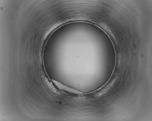 X0000087740789200705211011