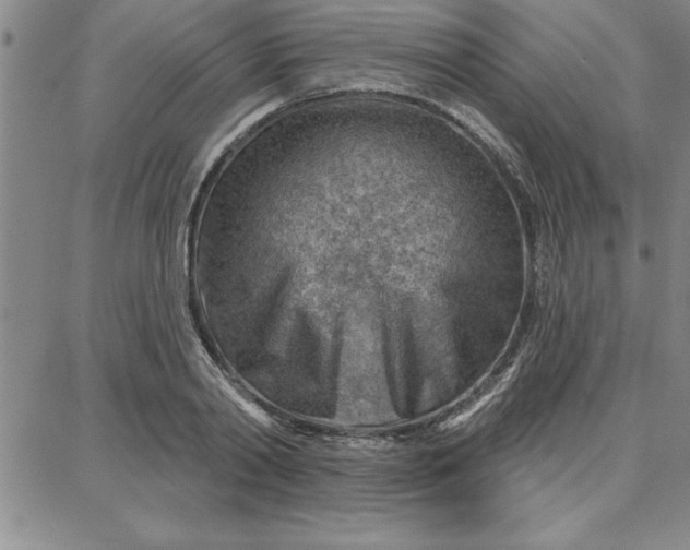 X0000087740790200705211011