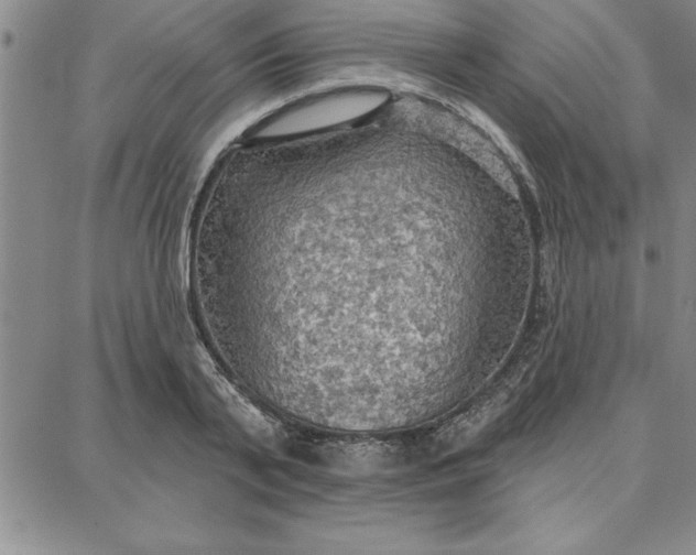 X0000087740791200705211011