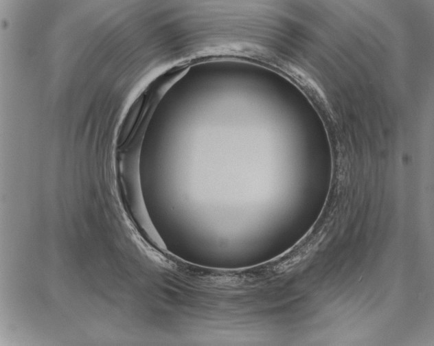 X0000087740792200705211011