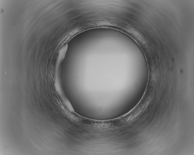 X0000087740793200705211011