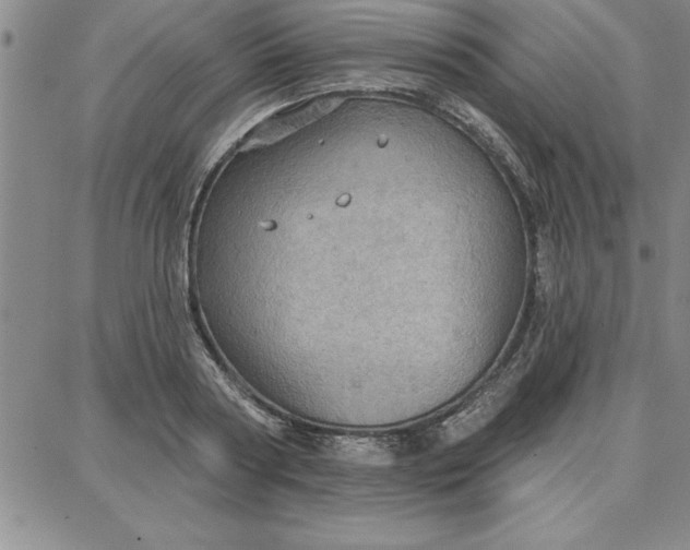 X0000087740794200705211011