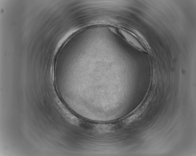 X0000087740796200705211011