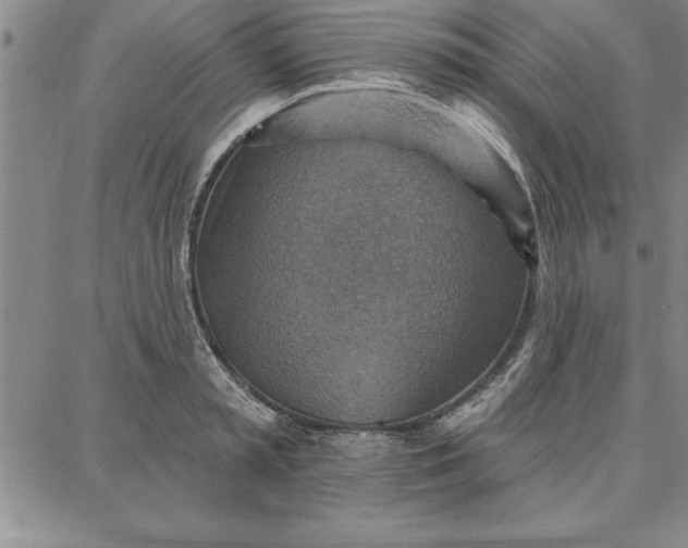 X0000087740797200705211011