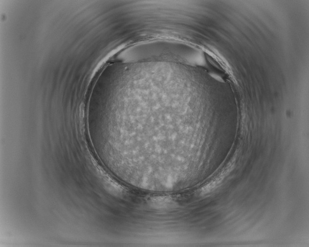 X0000087740798200705211011