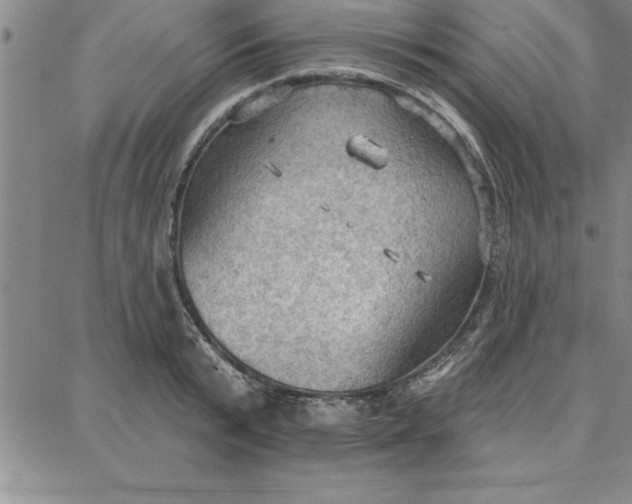 X0000087740799200705211011