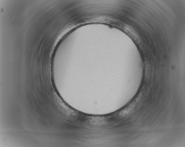 X0000087740800200705211011