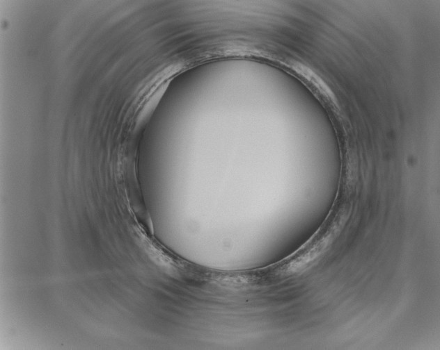 X0000087740801200705211011