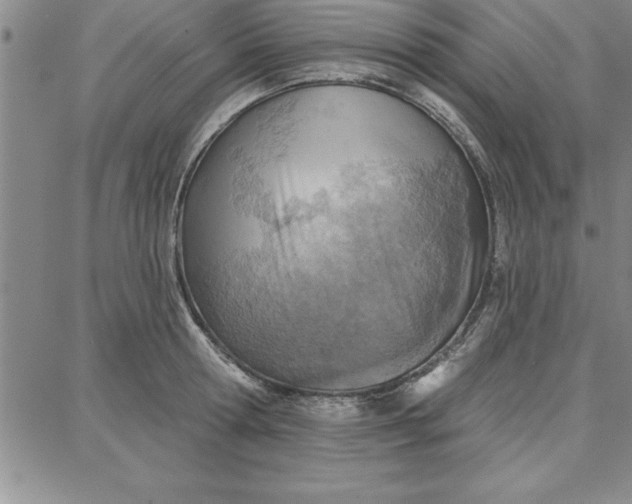 X0000087740802200705211011