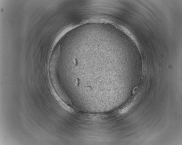 X0000087740803200705211011