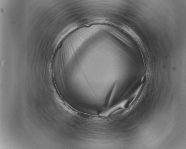 X0000087740806200705211011