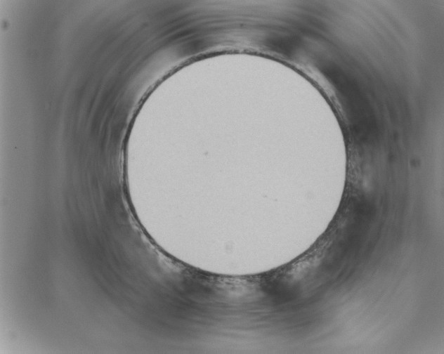 X0000087740807200705211011