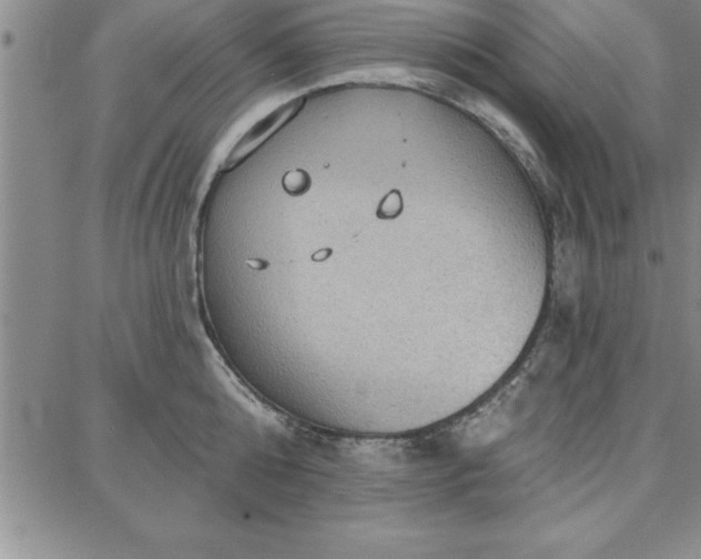 X0000087740808200705211011