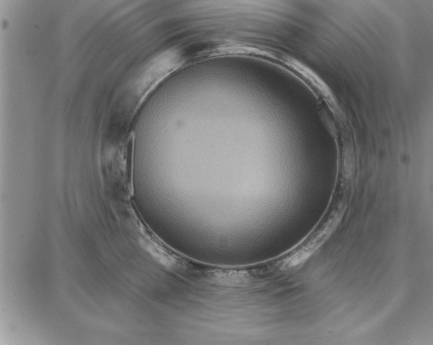 X0000087740809200705211011