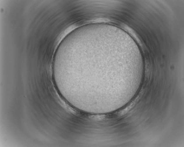 X0000087740810200705211011