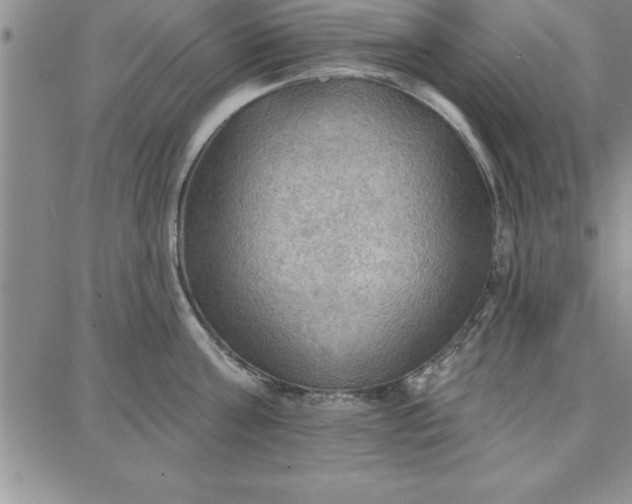 X0000087740811200705211011