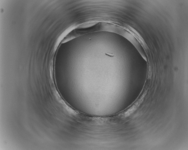 X0000087740812200705211011